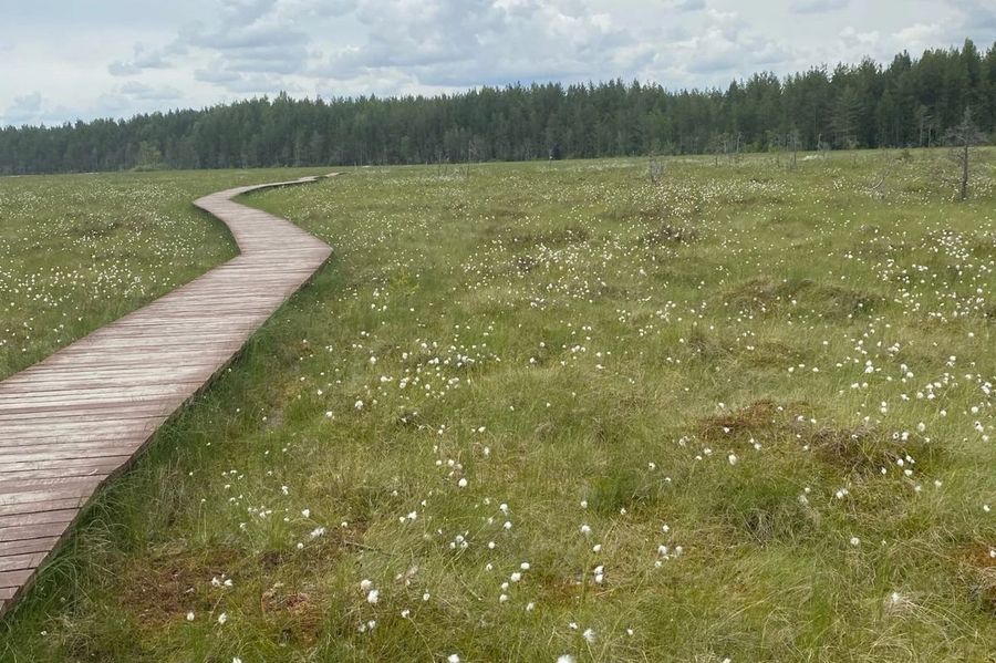 Как студенты развивают экотуризм в Ленинградской области?
