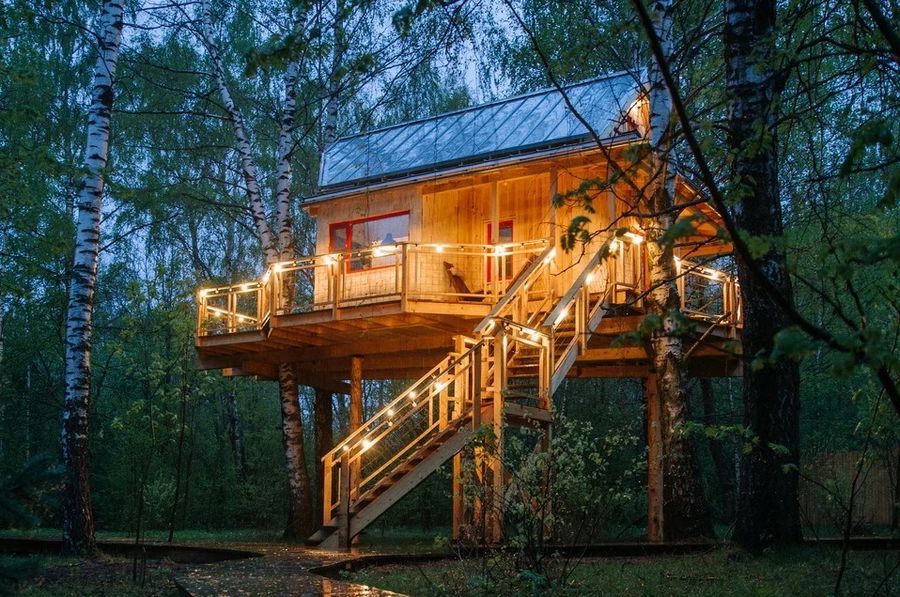 Отель «Лапочкино гнездо» — дома на деревьях