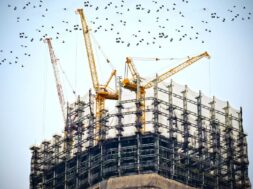 bird-architecture-skyscraper-urban-construction-tower-103364-pxhere.com