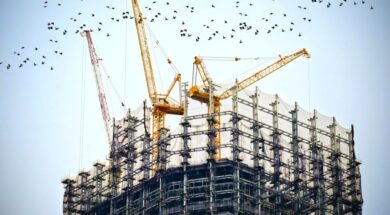 bird-architecture-skyscraper-urban-construction-tower-103364-pxhere.com