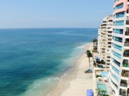 beach-sea-coast-ocean-horizon-palm-tree-33726-pxhere.com