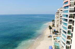 beach-sea-coast-ocean-horizon-palm-tree-33726-pxhere.com