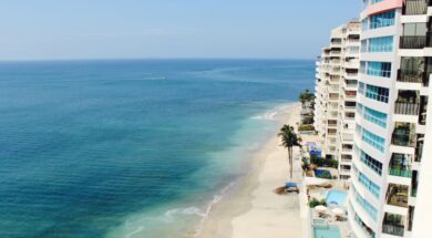 beach-sea-coast-ocean-horizon-palm-tree-33726-pxhere.com