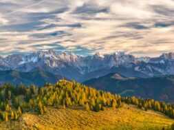 landscape-tree-nature-forest-wilderness-mountain-816613-pxhere.com