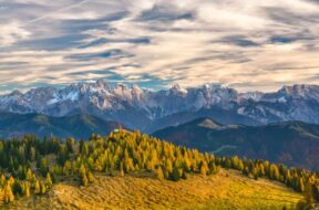 landscape-tree-nature-forest-wilderness-mountain-816613-pxhere.com