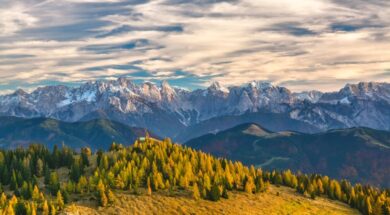 landscape-tree-nature-forest-wilderness-mountain-816613-pxhere.com