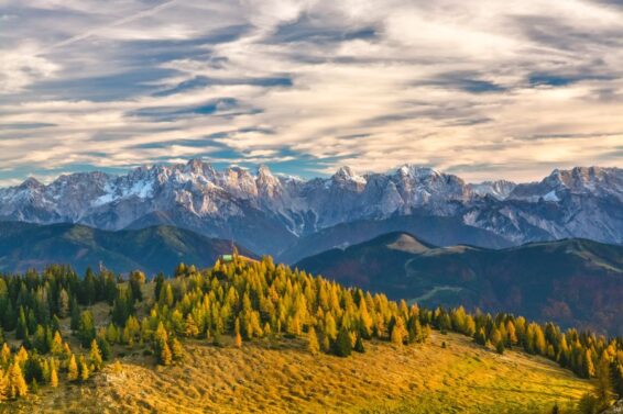 landscape-tree-nature-forest-wilderness-mountain-816613-pxhere.com